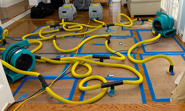 Professional Sewage Cleanup technician working in Crystal, MN
